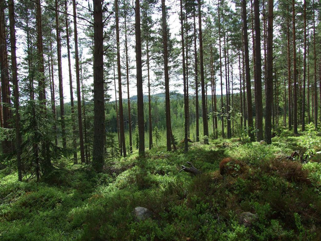 Hovra Vandrarhem Håvra Extérieur photo