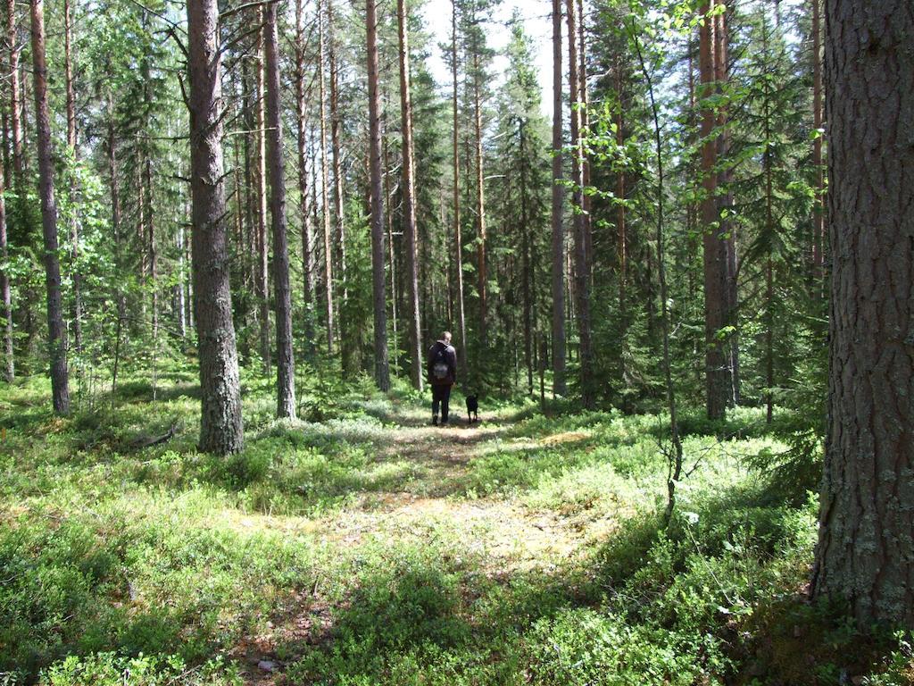 Hovra Vandrarhem Håvra Extérieur photo