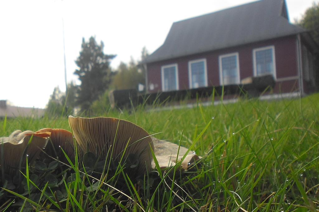 Hovra Vandrarhem Håvra Extérieur photo